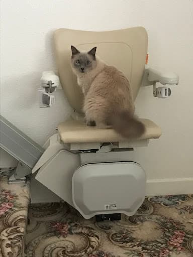 Anglia Stairlifts Ltd — Customer photo